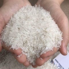 DT8 Rice Made by Vietnam Good Quality - Good Price/ 5% Broken Rice/ Long Grain Rice - Image 1
